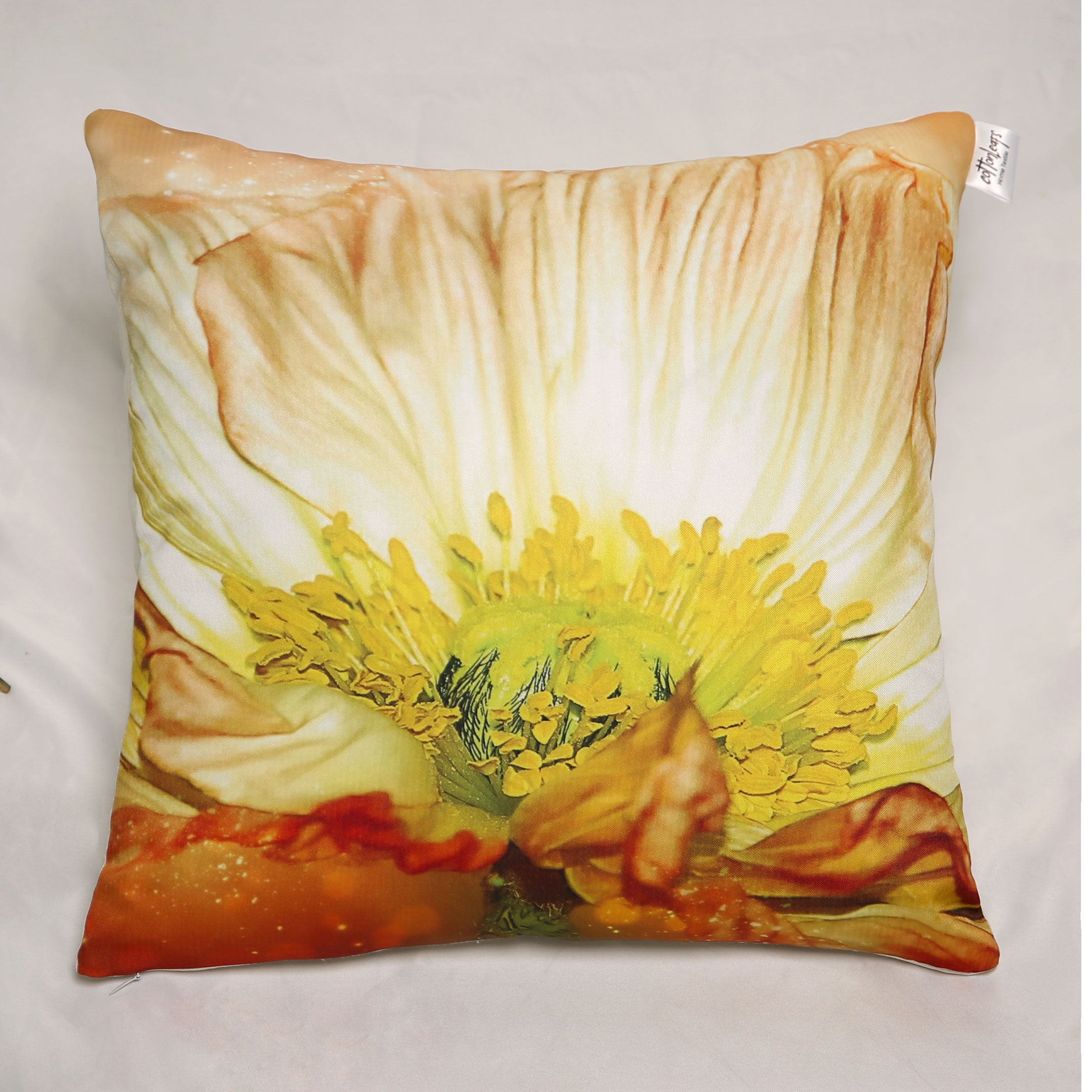 Cushion Digital - CD-24-10116 (Pack of 2)