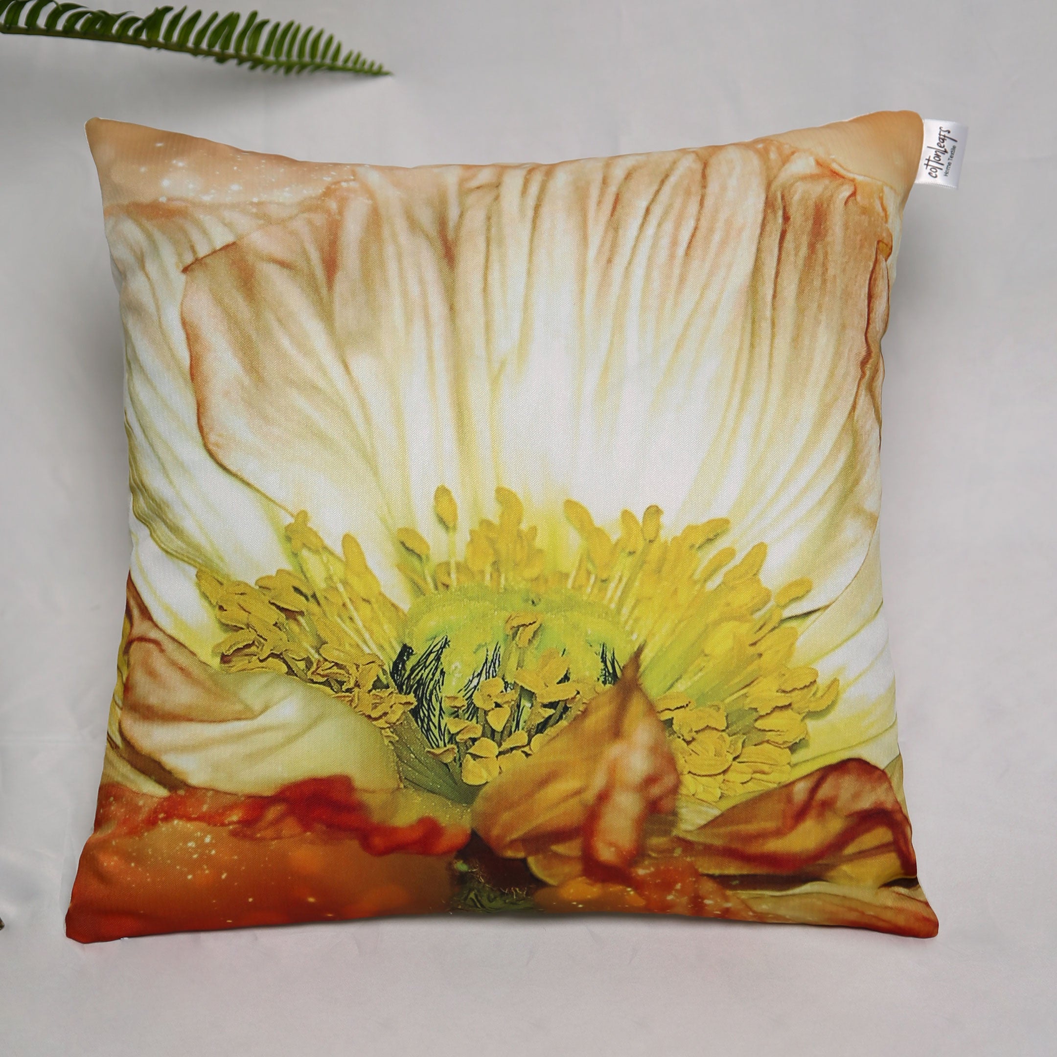 Cushion Digital - CD-24-10116 (Pack of 2)